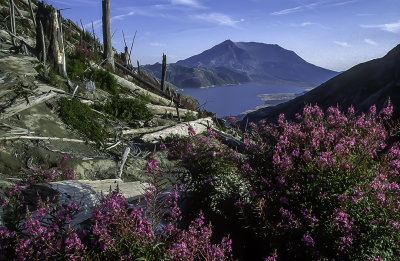 Mt St. Helens Twelve Years After 1980 Eruption WA