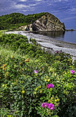 Coastline near Cheticamp, Nova Scotia, Canada
