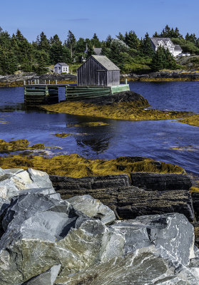 Seaweed at Blue Rocks, Nova Scotia