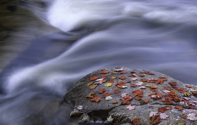 Swift River, New Hampshire