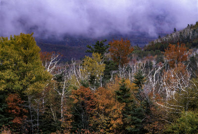 Low Clouds Along the Kancamaugus Highway, NH