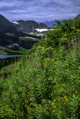 Along the Grinnell Glacier Trail, Glacier National Park, MT