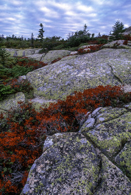 Cadillac Mountain, Acadia National Park, ME