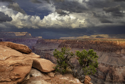 Storm clouds over Toroweap, Grand Canyon National Park, AZ