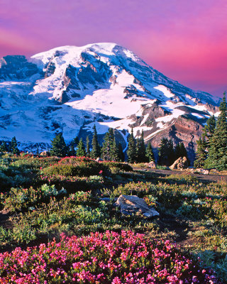 Sunset from Paradise Meadow, Mount Rainier National Park. WA