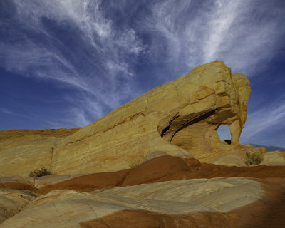 The Praying Mantis, Valley of Fire State Park, NV