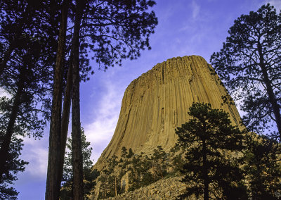 Devil's Tower, a volcanic neck, Devil's Tower National Monument, WY