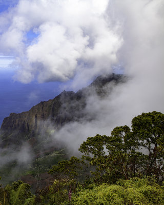 Kokee State Park, Kauai, HI