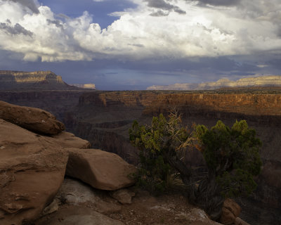 Toroweap Overlook, North Rim, Gand Canyon National Park, AZ