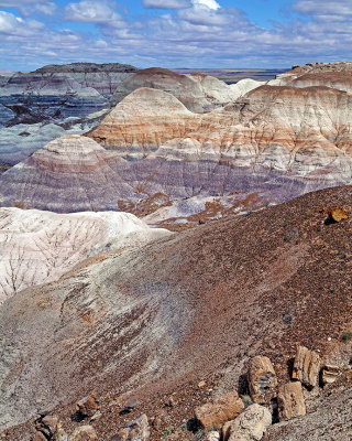 Blue Mesa, Petrified Foret National Park, AZ