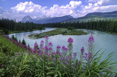  Bow River with Castle Mountain in the background, Banff National Park, Canada