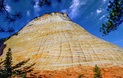 Checkerboard Mesa, Zion.