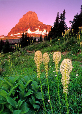 Alpenglow on Beargrass and Mt. Clemens, Glacier National Park, MT