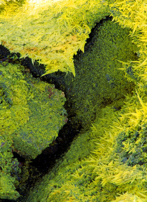 Sulphur crystals around the vent of a solfatara, the Sulfur Banks,  Hawaii