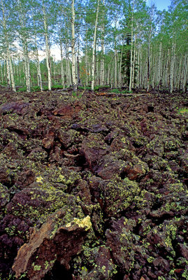 Block lava, Markagunt Plateau, Dixie National Forest, UT