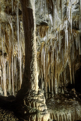 Soda straw stalactites and column, Carlsbad Caverns, NM