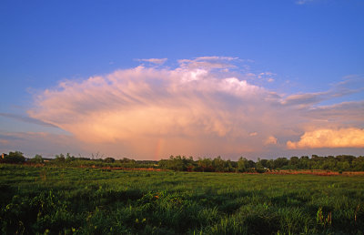 Cumulonimbus, Lake County, IL