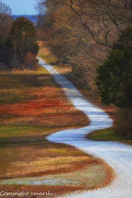 SandHill Crane Migration - 2019 - Hiwassie Wildlife Refuge, TN