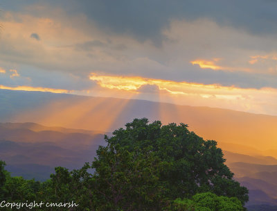 RMR_2143.jpg - Sunset over Spur Tree