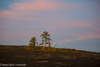 RMR_5902.jpg - Arabia Mountain, GA