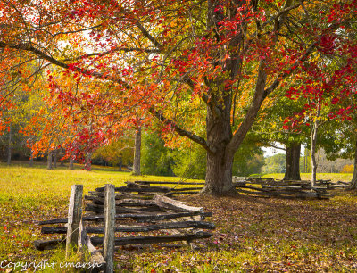 RMR_5904.jpg - Etowah - Original Home of Cherokee Nation