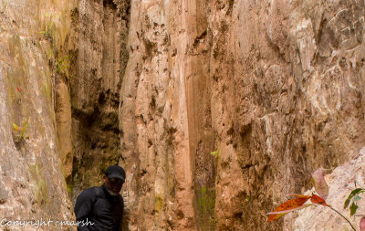 Canyons of Georgia