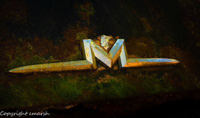 _RMR4536.jpg - Mercury