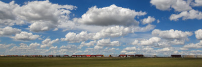 8I3C0538.jpg
