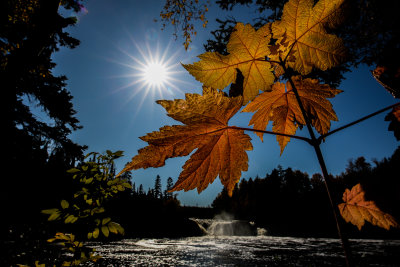 upnorth19