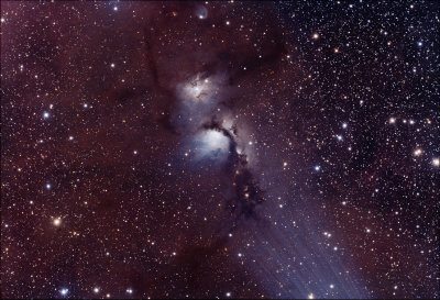 M 78 Reflection Nebula in Orion