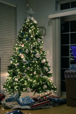 the tree on Christmas Eve...