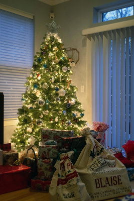 the tree on Christmas Morning