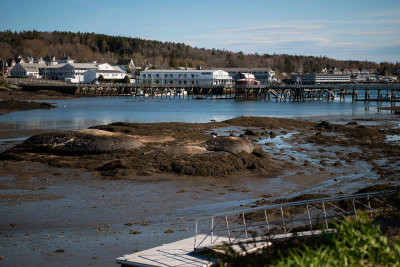 Boothbay inlet from ground level at low tide