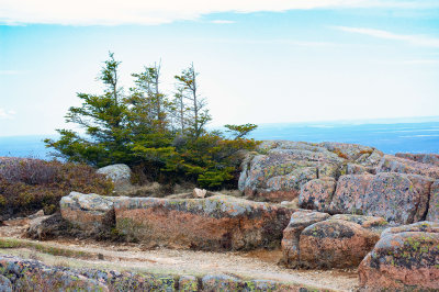 the tippy top of Cadillac Mountain
