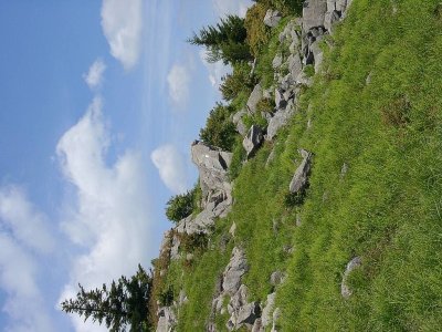 Hiking near Wilburn Ridge on the way to Mt. Rogers