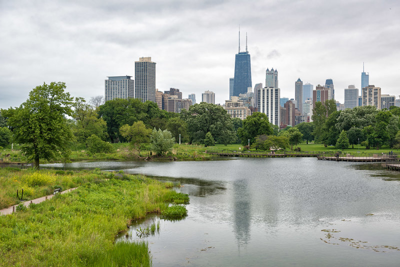 View from Lincoln Park