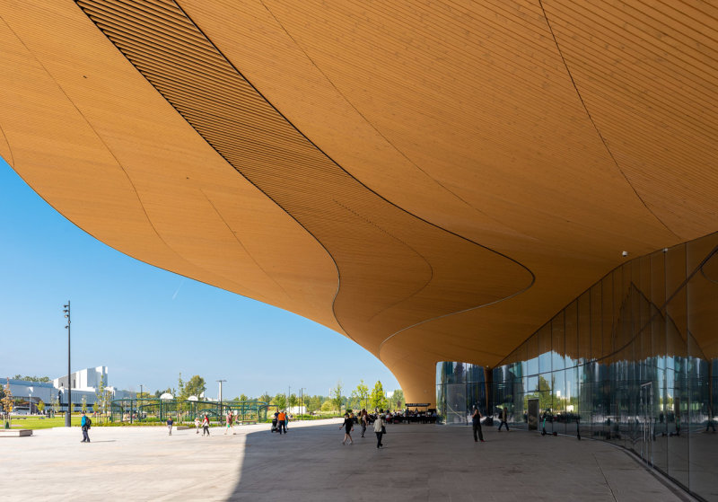 The Main Entrance Area