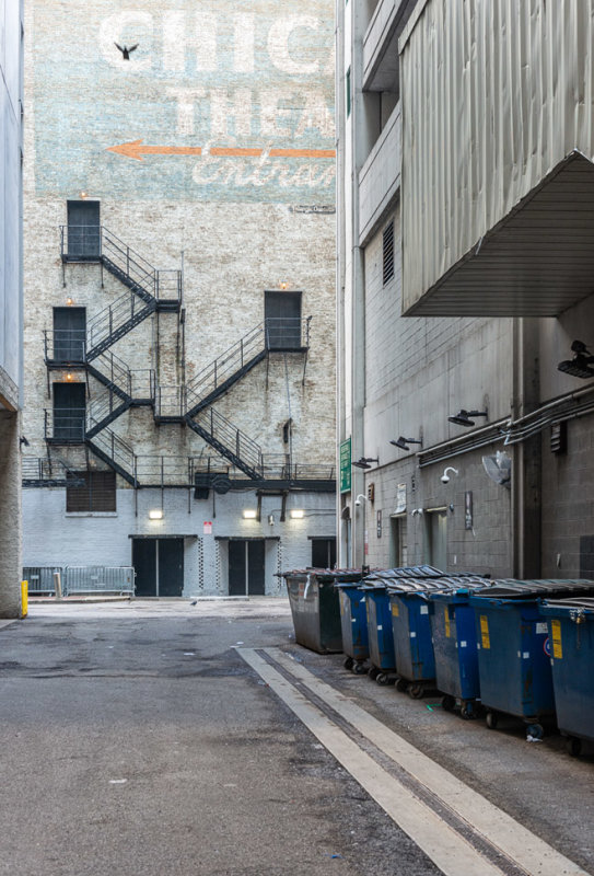 Chicago Theater Alley with Startled Bird