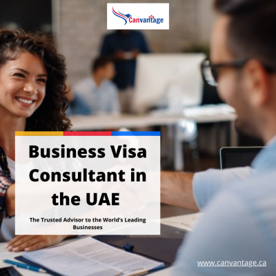 Business Visa Consultant in the UAE  - 1