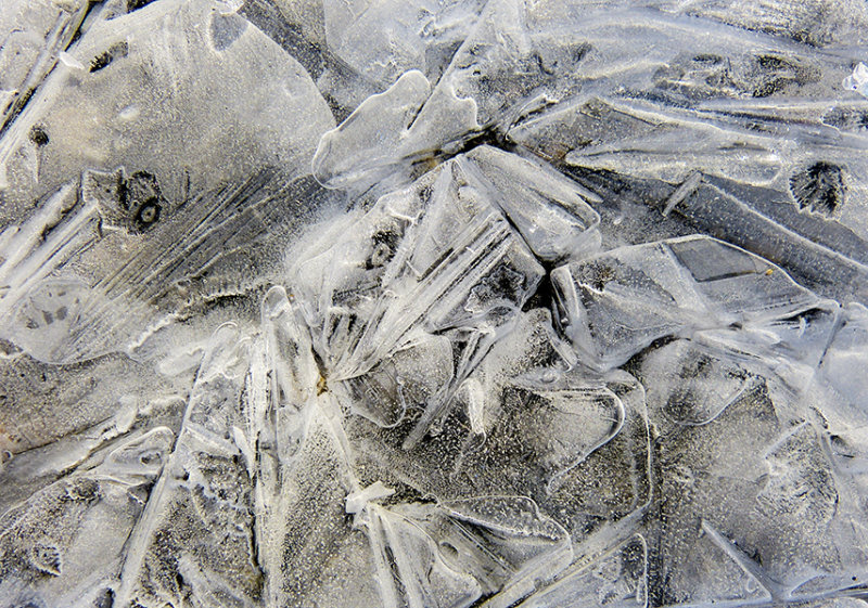 ice 569