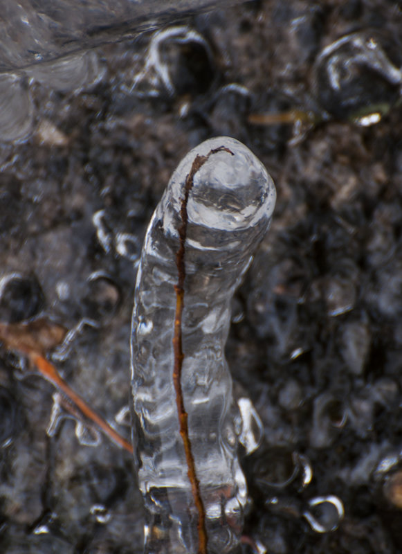 ice 901