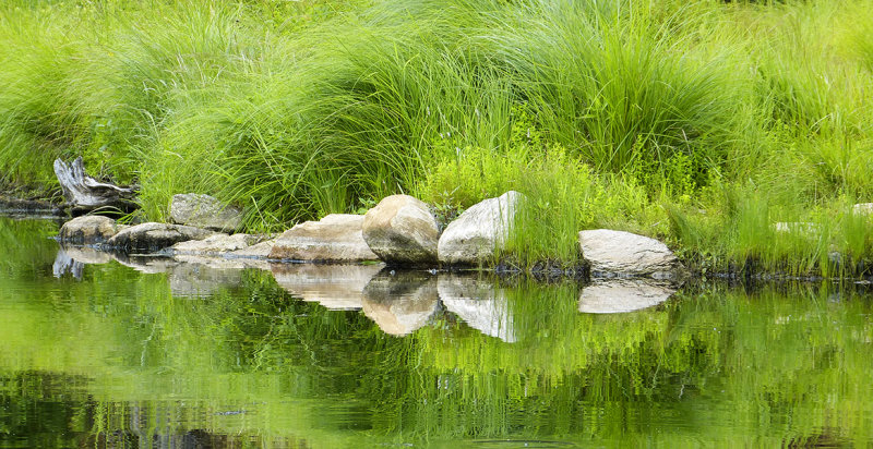 very still life 645