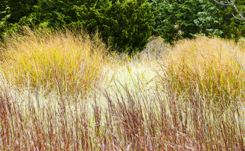 variations 533