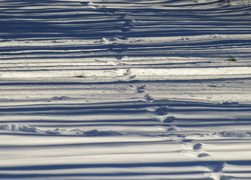 snow 232