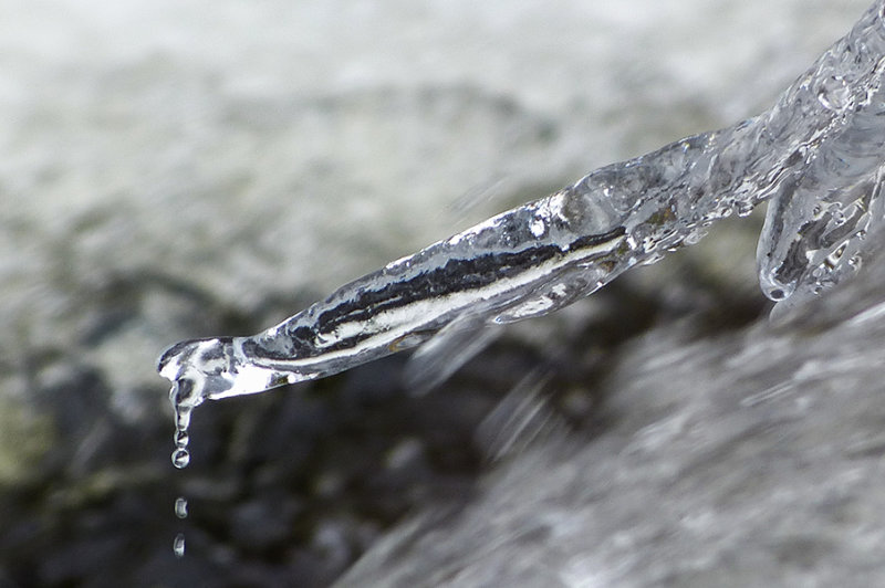 ice 305