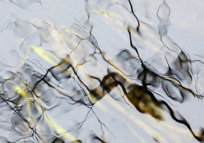surfaces 0157