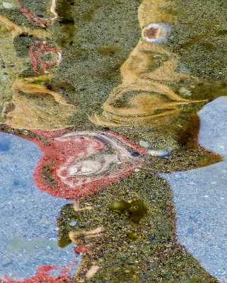 surfaces 659