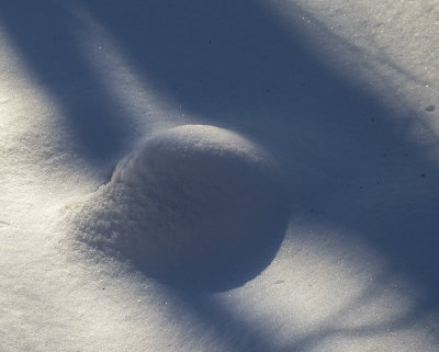 snow ball 260