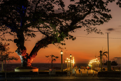 Dumaguete City