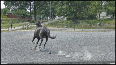 g12/44/701544/3/172724121.7IZGVUdL.jpg